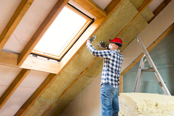 Best Spray Foam Insulation  in USA